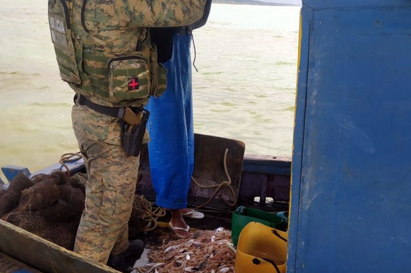 Foto: Divulgação - Pescadores são flagrados com mais de 80kg de camarão no fim do defeso em Porto Seguro