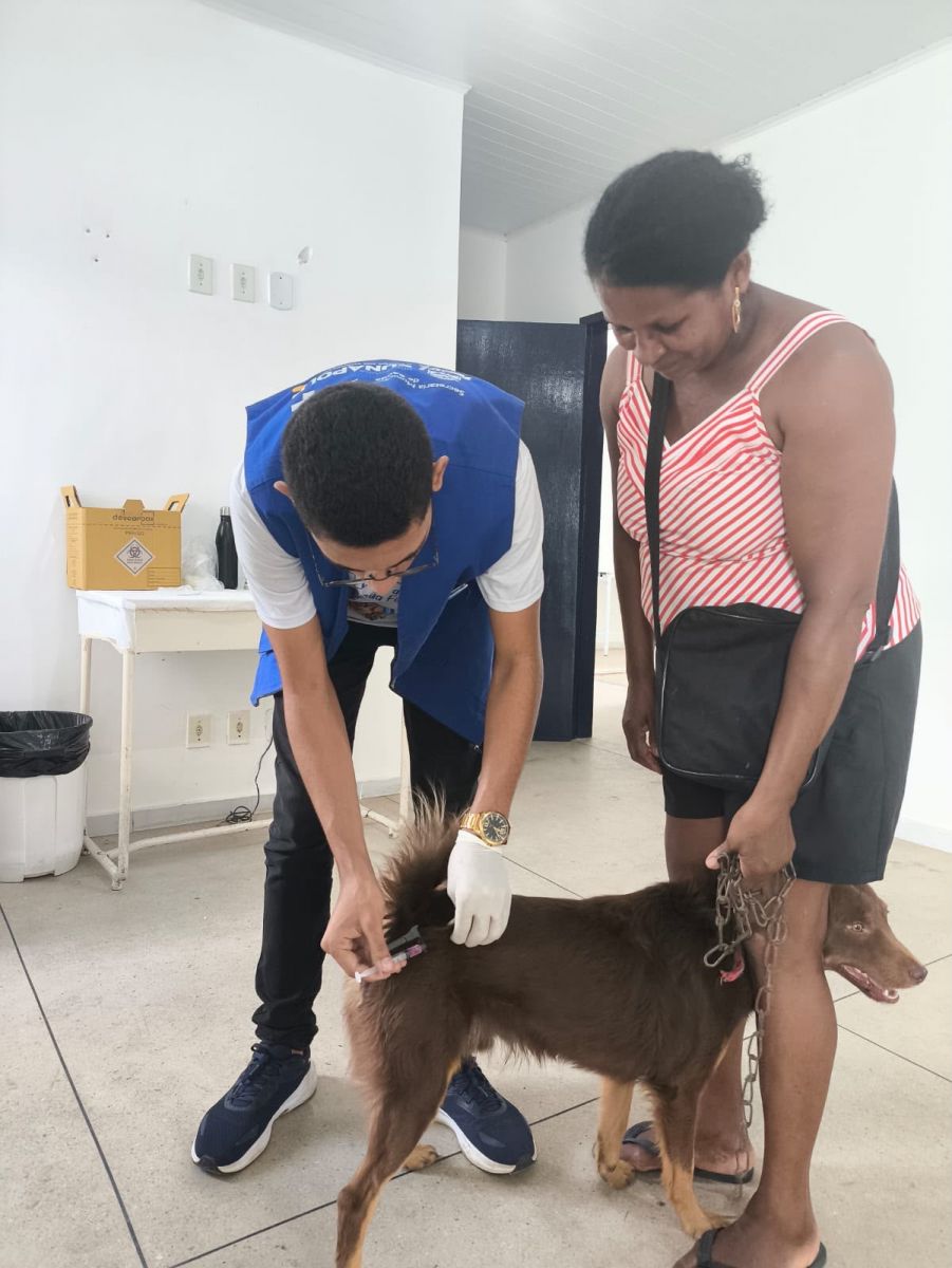 Prefeitura de Eun�polis supera marca de 14,2 mil animais vacinados contra a raiva