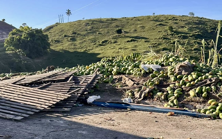 Caminh�o carregado de mam�o tomba na BR-101 entre Eun�polis e Itabela