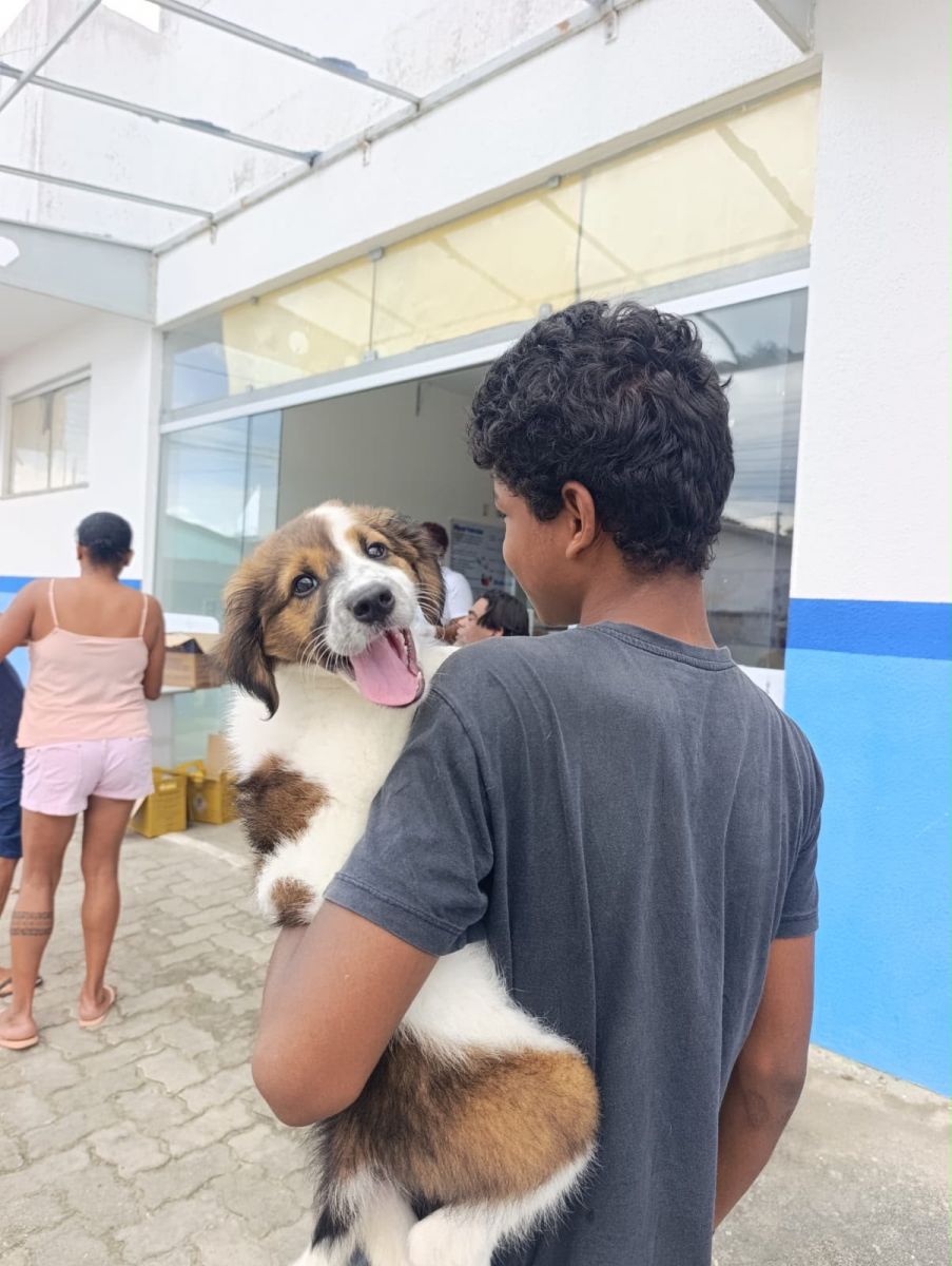 Prefeitura de Eun�polis supera marca de 14,2 mil animais vacinados contra a raiva