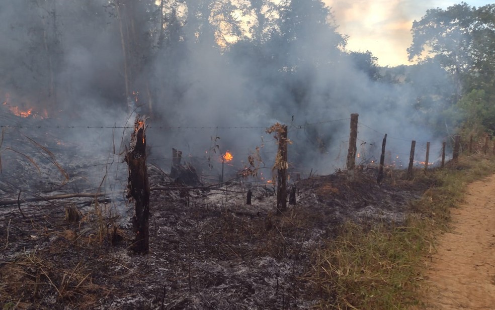 Prefeitura suspeita que incndio tenha sido criminoso e registrou caso na polcia  Foto: Divulgao/Prefeitura de Guaratinga